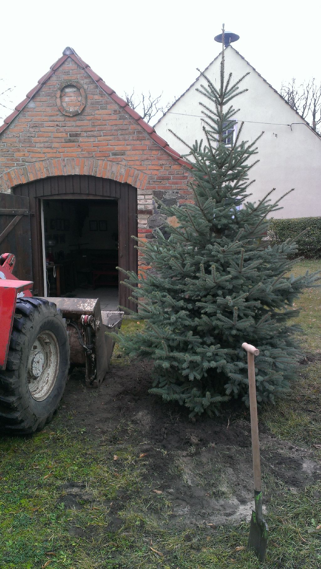 Weihnachtsbaum 2013